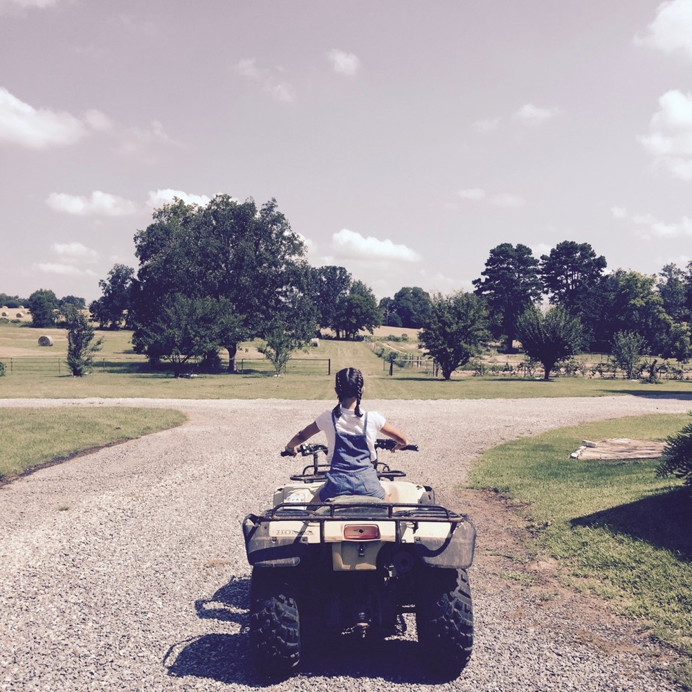 Meet your Posher, Lily